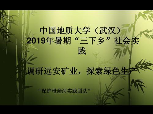 三下乡社会实践 46页PPT文档