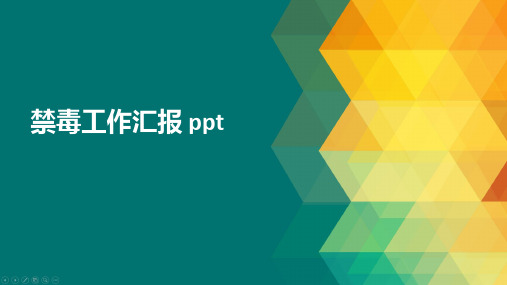 禁毒工作汇报 ppt