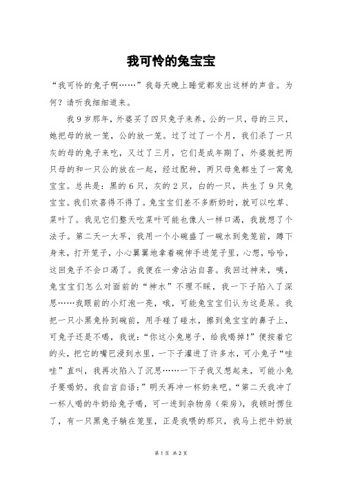 我可怜的兔宝宝_六年级作文