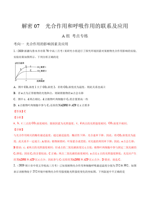 高中生物高考解密07 光合作用和呼吸作用的联系及应用(分层训练)(解析版)