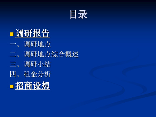 沈阳中街招商设想及租金调研报告