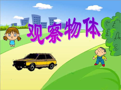 二年级上册数学课件-7.2 观察物体苏教版 (共13张PPT)