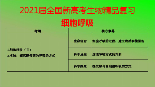 2021届全国新高考生物精品复习—细胞呼吸