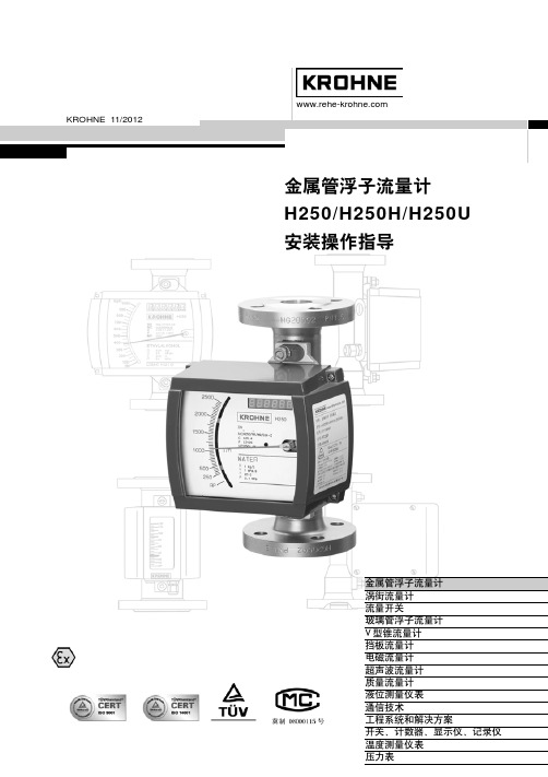 克罗尼转子流量计H250安装维护手册