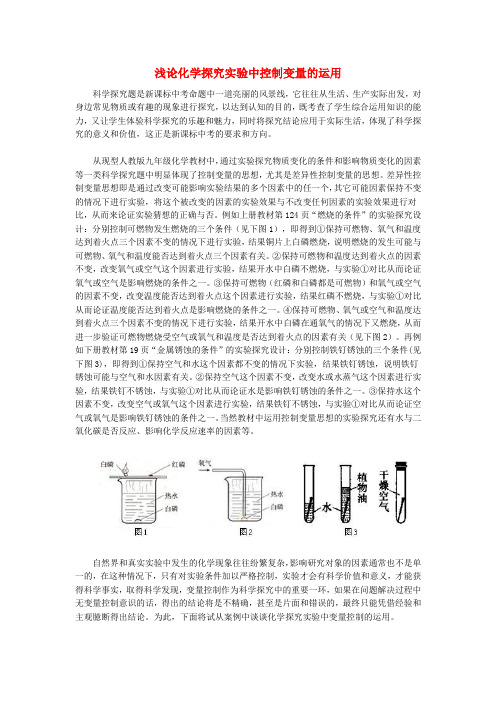 初中化学教学论文 浅论化学探究实验中控制变量的运用