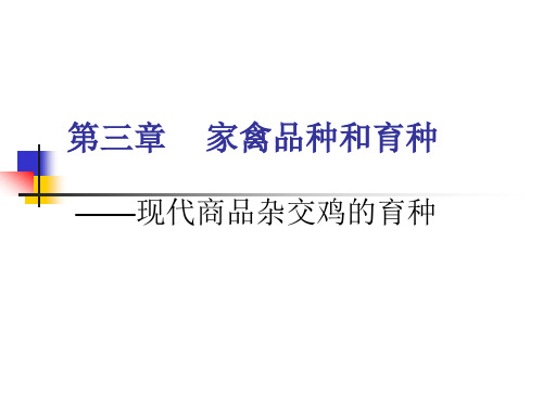 家禽育种技术及繁育体系建设