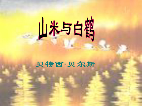 语文版八年级上《山米与白鹤》ppt课件6