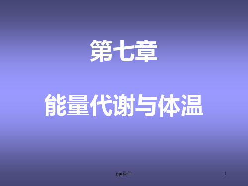 生理学--能量代谢与体温  PPT课件