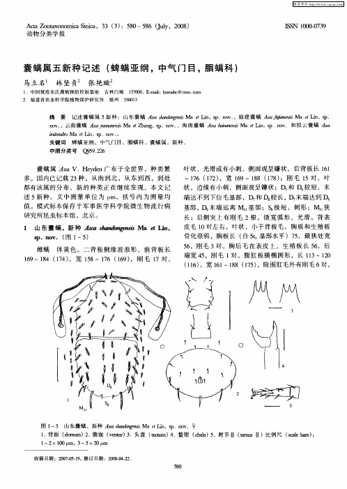 囊螨属五新种记述(蜱螨亚纲,中气门目,胭螨科)