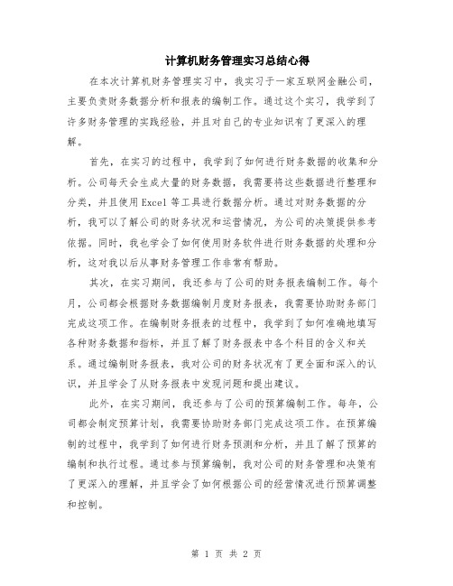 计算机财务管理实习总结心得