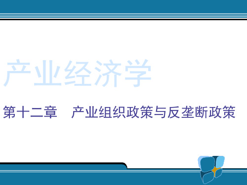 第十二章产业组织政策与反垄断政策.pptx