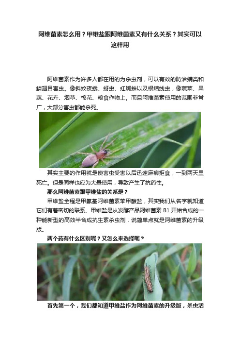 阿维菌素怎么用？甲维盐跟阿维菌素又有什么关系？其实可以这样用