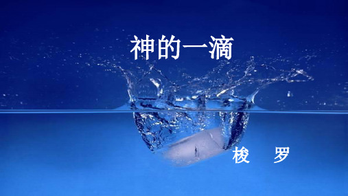 部编苏教高中必修1《神的一滴》倪妙静PPT课件 一等奖新名师优质课获奖比赛公开视频下载