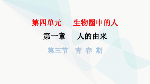 人教版七年级生物下册第一章第三节青春期课件