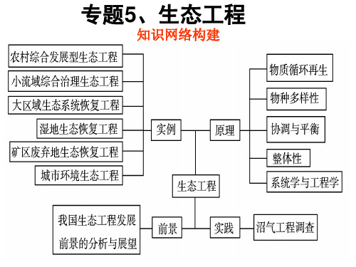 高中生物选修三《专题五 生态工程》复习课件