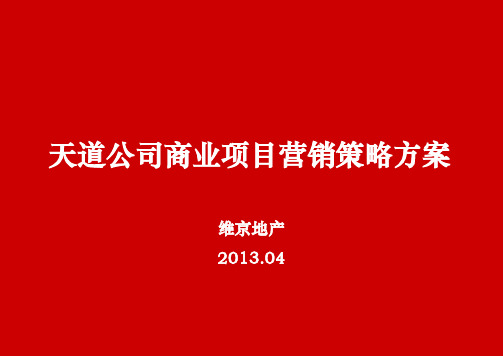 2013年04月郑州天道公司商业项目营销策略方案