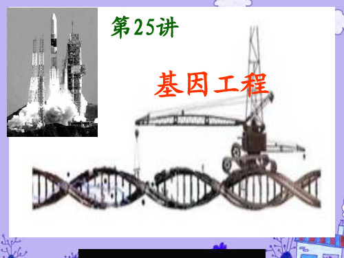 高三生物一轮复习基因工程课件