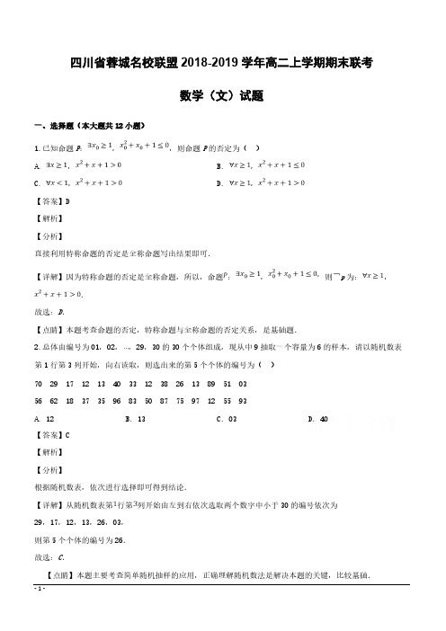 四川省蓉城名校联盟2018-2019学年高二上学期期末联考数学(文)试题含答案解析