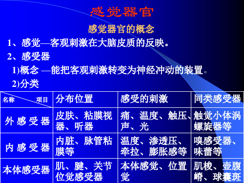 系统解剖学课件感官、视器