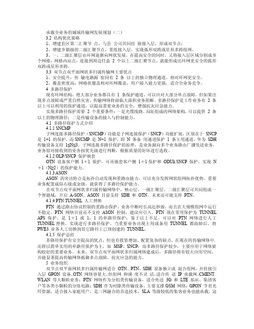 承载全业务的城域传输网发展规划(二)