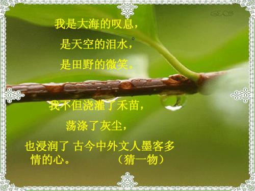 《雨说》课件