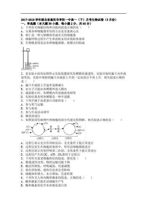 湖北省襄阳市枣阳一中2017-2018学年高一下学期月考生物试卷(8月份) Word版含解析