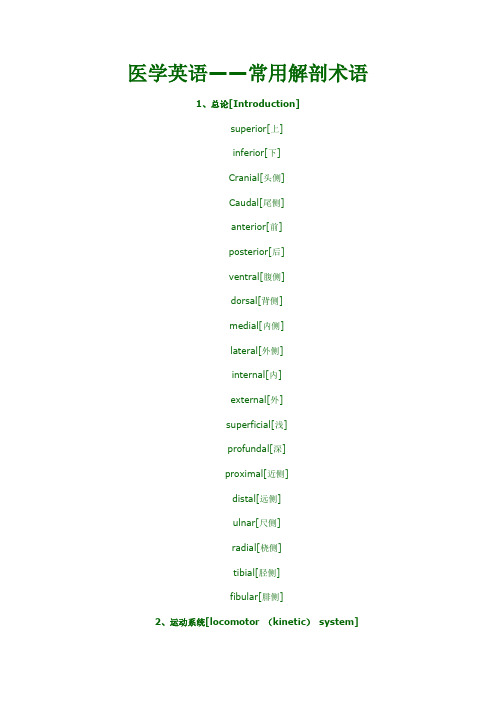 医学英语——常用解剖术语