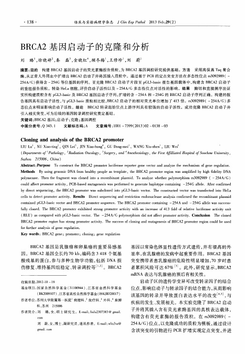 BRCA2基因启动子的克隆和分析