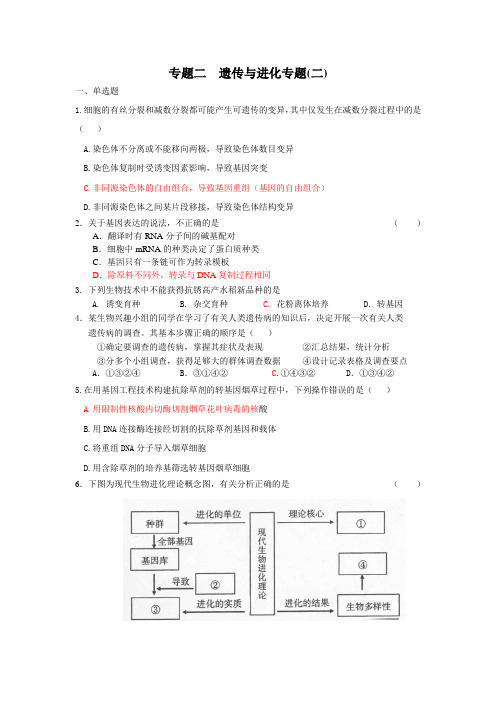 专题二  遗传与进化2