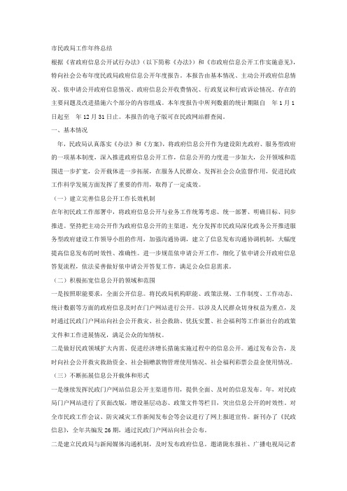 市民政局工作年终总结.docx