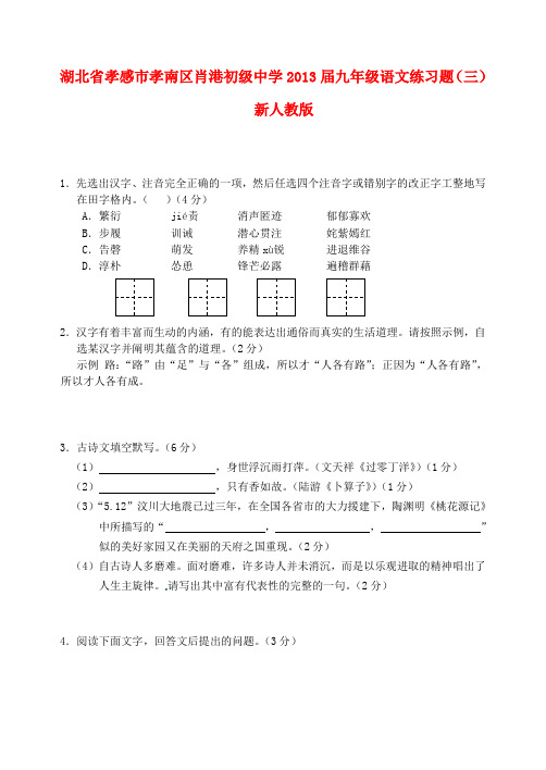 湖北省孝感市孝南区肖港初级中学2013届九年级语文练习题