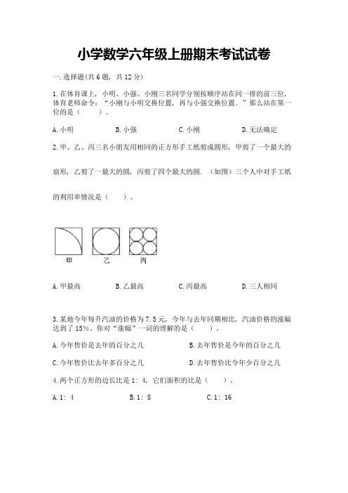 小学数学六年级上册期末考试试卷【完整版】