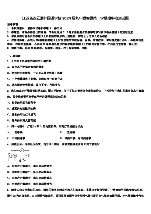 江苏省连云港外国语学校2024届九年级物理第一学期期中检测试题含解析