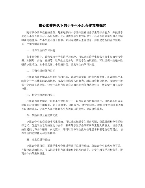 核心素养理念下的小学生小组合作策略探究