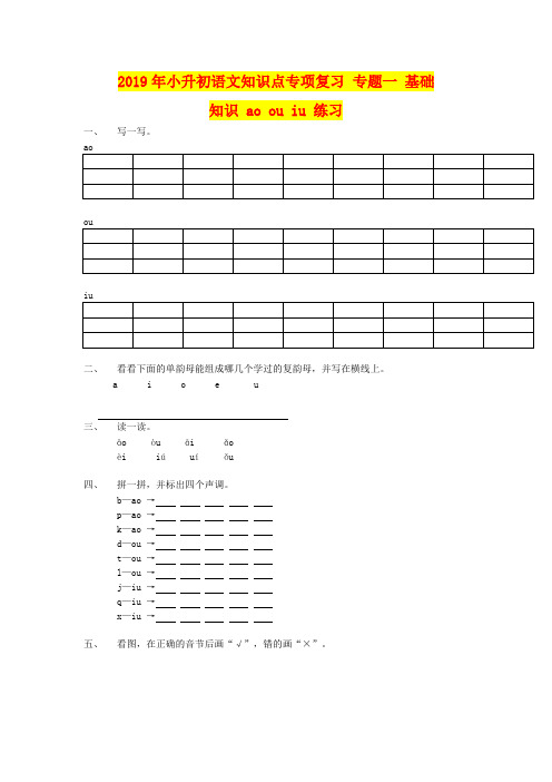 2019年小升初语文知识点专项复习 专题一 基础知识 ao ou iu 练习