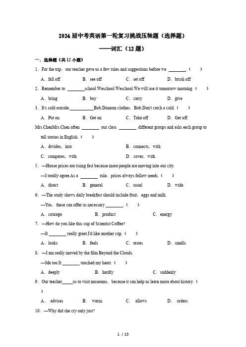 2024届中考英语第一轮复习挑战压轴题(选择题)——词汇(12题)含答案