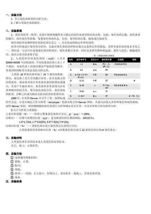 人类染色体核型分析