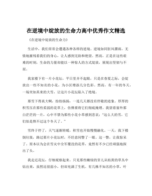 在逆境中绽放的生命力高中优秀作文精选