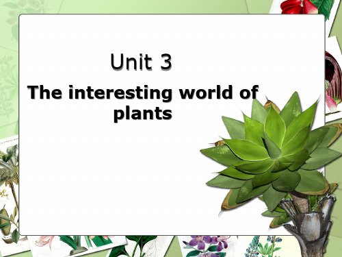 牛津上海版高中一年级 下学期Unit 3 Plants T课件