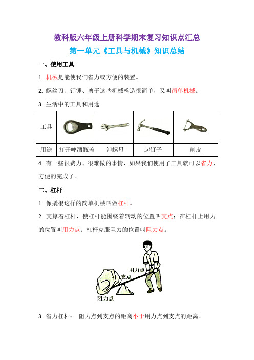 教科版六年级上册科学期末复习知识点汇总