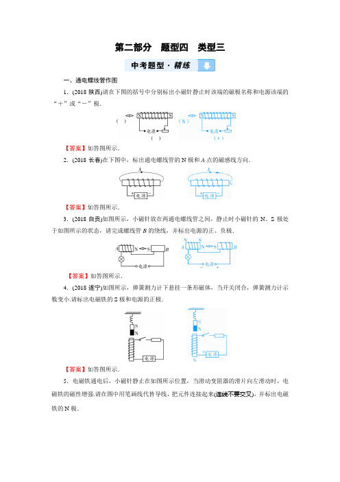 2019陕西中考物理新设计三轮题型突破题型四作图题类型3