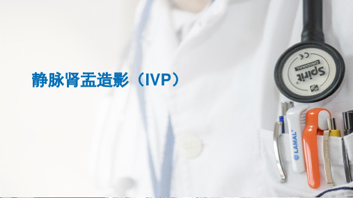 静脉肾盂造影(IVP)doc资料