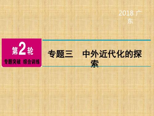 广东省中考历史总复习 第2轮 专题突破 综合训练 专题三 中外近代化的探索名师课件