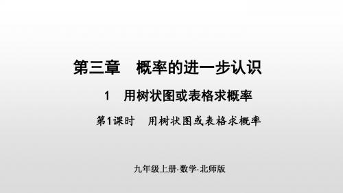 2019秋北师大版九年级数学上册作业课件:第1课时 用树状图或表格求概率