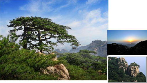 新教材统编版必修上册《 登泰山记》