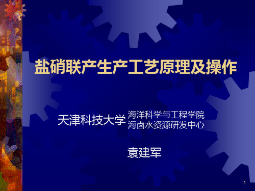 盐硝联产生产工艺原理及流程PPT课件