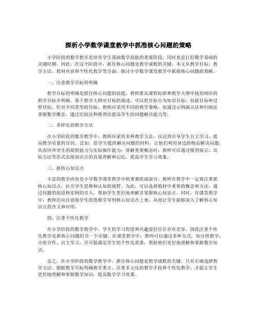 探析小学数学课堂教学中抓准核心问题的策略