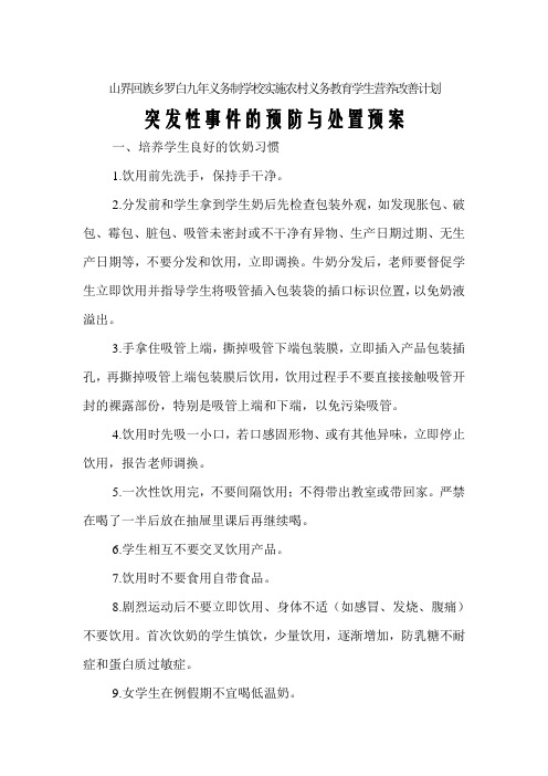 山界回族乡罗白九年义务制学校实施农村义务教育学生营养改善计划突发性事件的预防与处置预案
