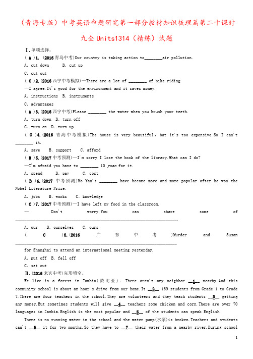 (青海专版)中考英语命题研究第一部分教材知识梳理篇第二十课时九全Units1314(精练)试题