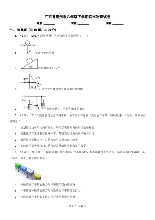 广东省惠州市八年级下学期期末物理试卷 